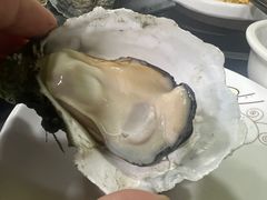 -大富蚝乌东哥饭店·石锅鱼杂·柠檬鸭(革新路店)