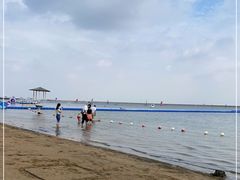 -碧海金沙