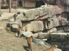 -无锡动物园·太湖欢乐园