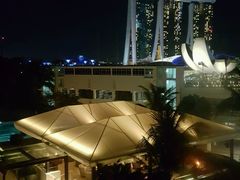 -新加坡文华东方酒店