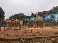 -昆明动物园