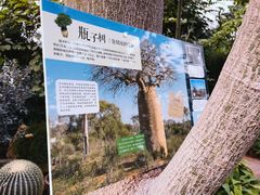 -国家植物园南园