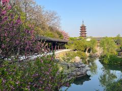 -盘门景区