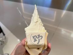 -野人先生现做冰淇淋(北京王府井东方新天地店)