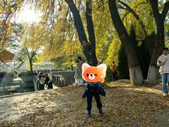 -石家庄市植物园