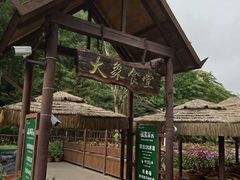 -野象谷景区