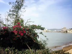 -鼓浪屿内厝澳码头(轮渡站)