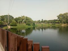 -王借岗森林公园