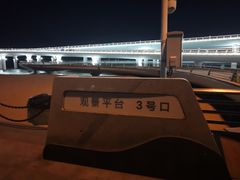 -演武大桥观景平台