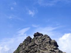 -朱雀国家森林公园
