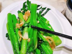 猪油渣炒菜心-陶陶居酒家(环市东店)