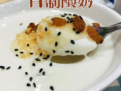 自制酸奶-紫光园(劲松店)