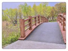 -顾村公园