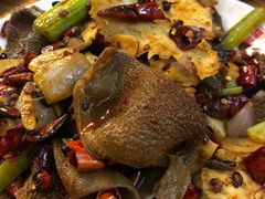 -福苗小骆驼烧烤(太奥广场店)