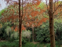 -龙城公园-停车场