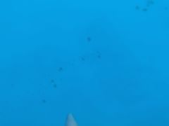 -西安华夏文旅水世界