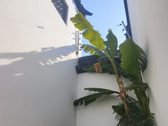 -程十发艺术馆