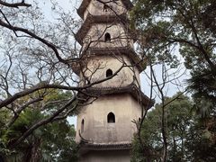 -江心屿景区