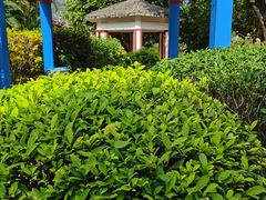 -江门古兜温泉小镇