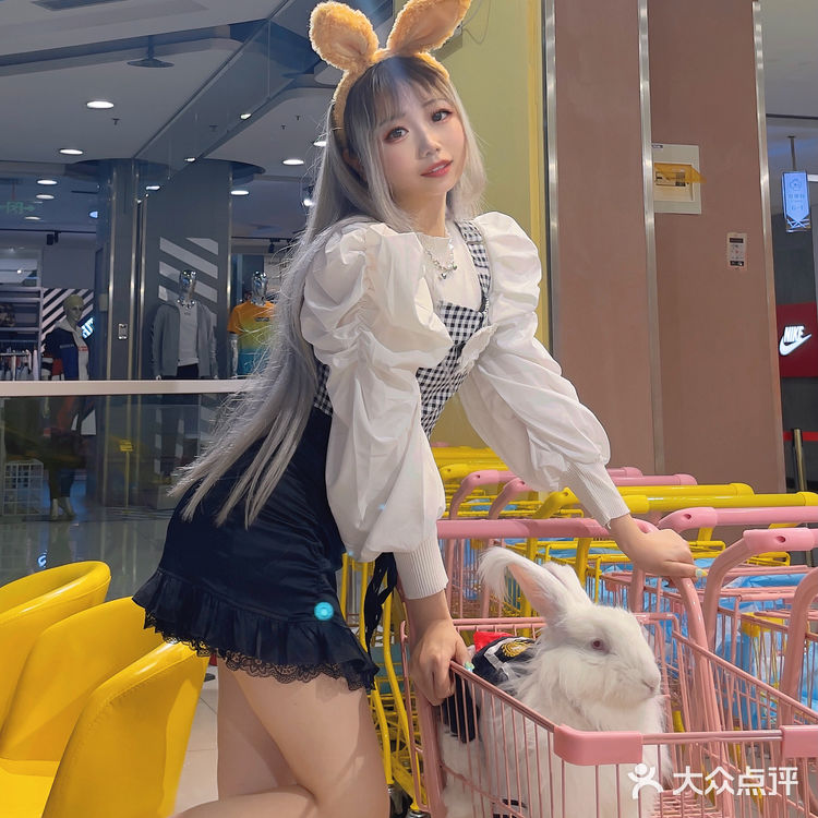 郑州探店｜Nice to meet U🐰爱玩萌兔体验馆