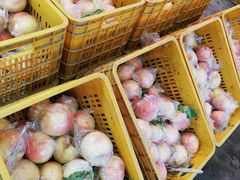 -双福水果批发市场