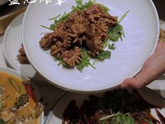 -杨氏青龙虾·羊蝎子(托乐嘉店)