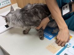 -瑞派宠物医院·24h·骨外科·皮肤科·全科宠物医疗转诊中心(沈阳浑南院)