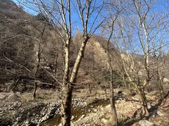 -秦岭终南山世界地质公园翠华山景区