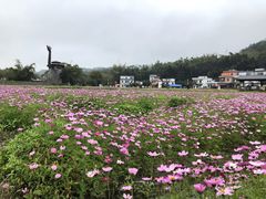 -红山村