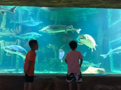 -华夏文旅西安度假区