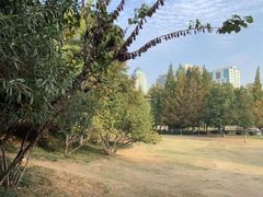 -环城公园-琥珀潭