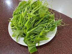 豌豆尖-朝伟清真铜瓢牛肉馆(三十年老·店)