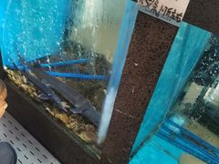 -鲜味食族水产·海鲜餐厅