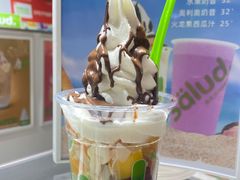 -Salud撒露欧洲冻酸奶(北苑上品店)