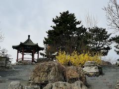 -大兴滨河森林公园