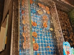 -亚马逊海鲜自助(梅溪湖步步高店)