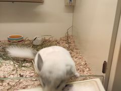 -龙猫仔乐园(惠福东路店)