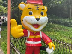 -神光山国家森林公园