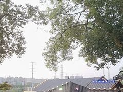 -耕渔小院·湖南鱼鲜(望城店)