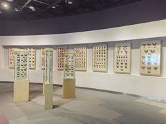 -陕西自然博物馆