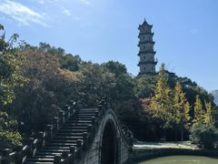 -江心屿景区