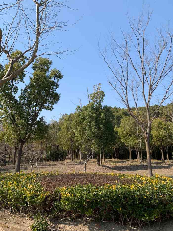 康桥生态园·秀南绿地-"因为心情不好,所以就找个公园走走,散散心.