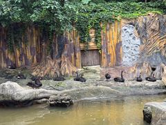 -燕塞湖鸟语林景区