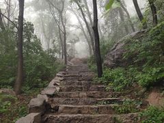 -大岭沟猕猴桃谷风景区
