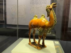 -贵州省博物馆(新馆)