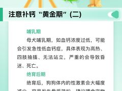 -瑞派申生动物医院·24H夜诊·国际动物医疗中心·骨外科(吴中路店)