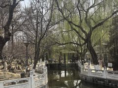 -桃花堤公园