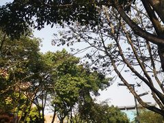 -四川大学(望江校区)