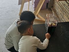 -宁波九龙湖开元度假村