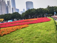 -海心沙亚运公园